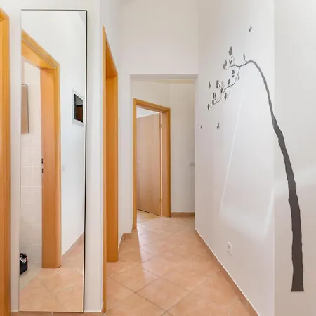 Apartment Beautiful In With Kitchen Cizici